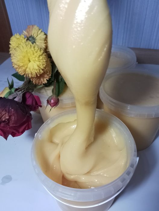 Мед буркун (донник) 2025