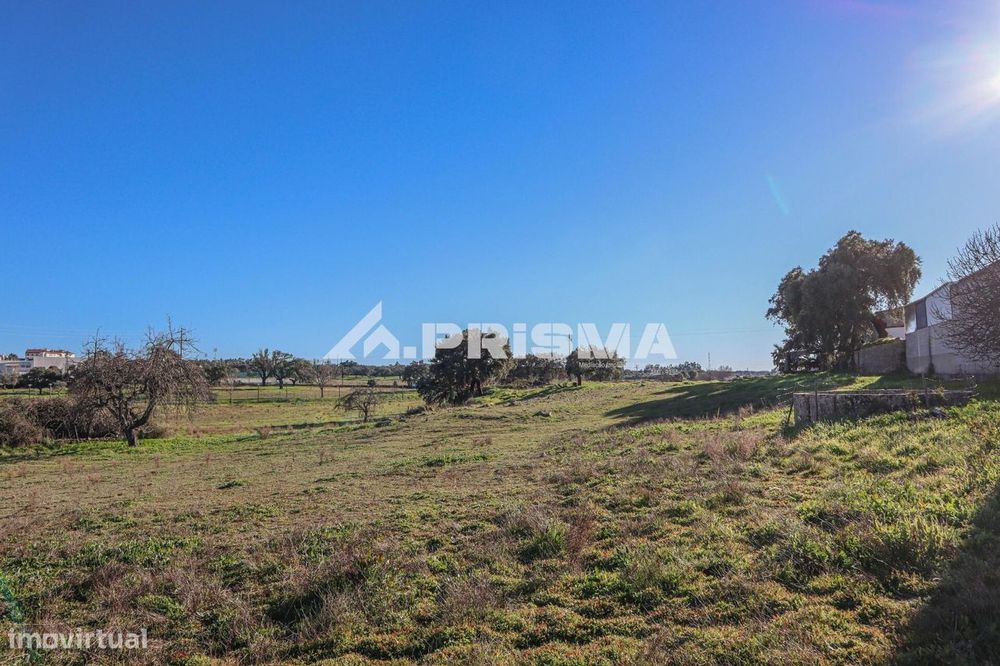 Terreno de 30.000m2 para venda em Alcains