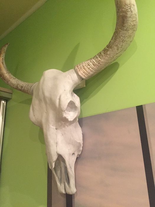 Декор череп буйвола( інтерєр, екстерєр)