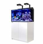 Akwarium morskie Kompletny zestaw red sea max  e 260