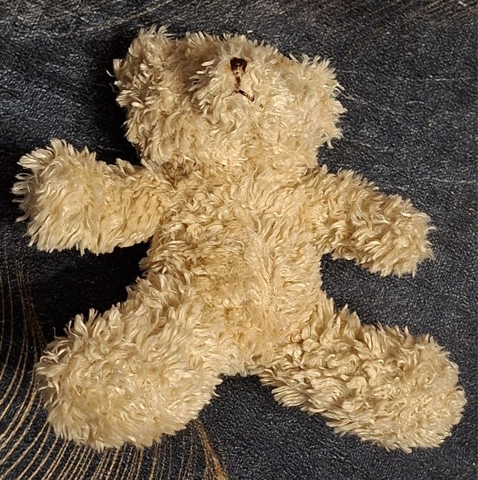 Maskotka, pluszak miś