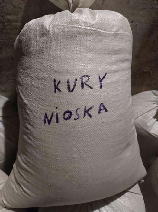 Pasza dla kur niosek , drobiu ( pszenica)