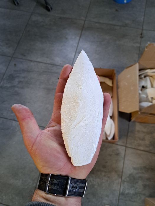 SEPIA NATURALNA duża,gruba 18-22cm,8zł/szt,20szt za 160zł papuga,żółw