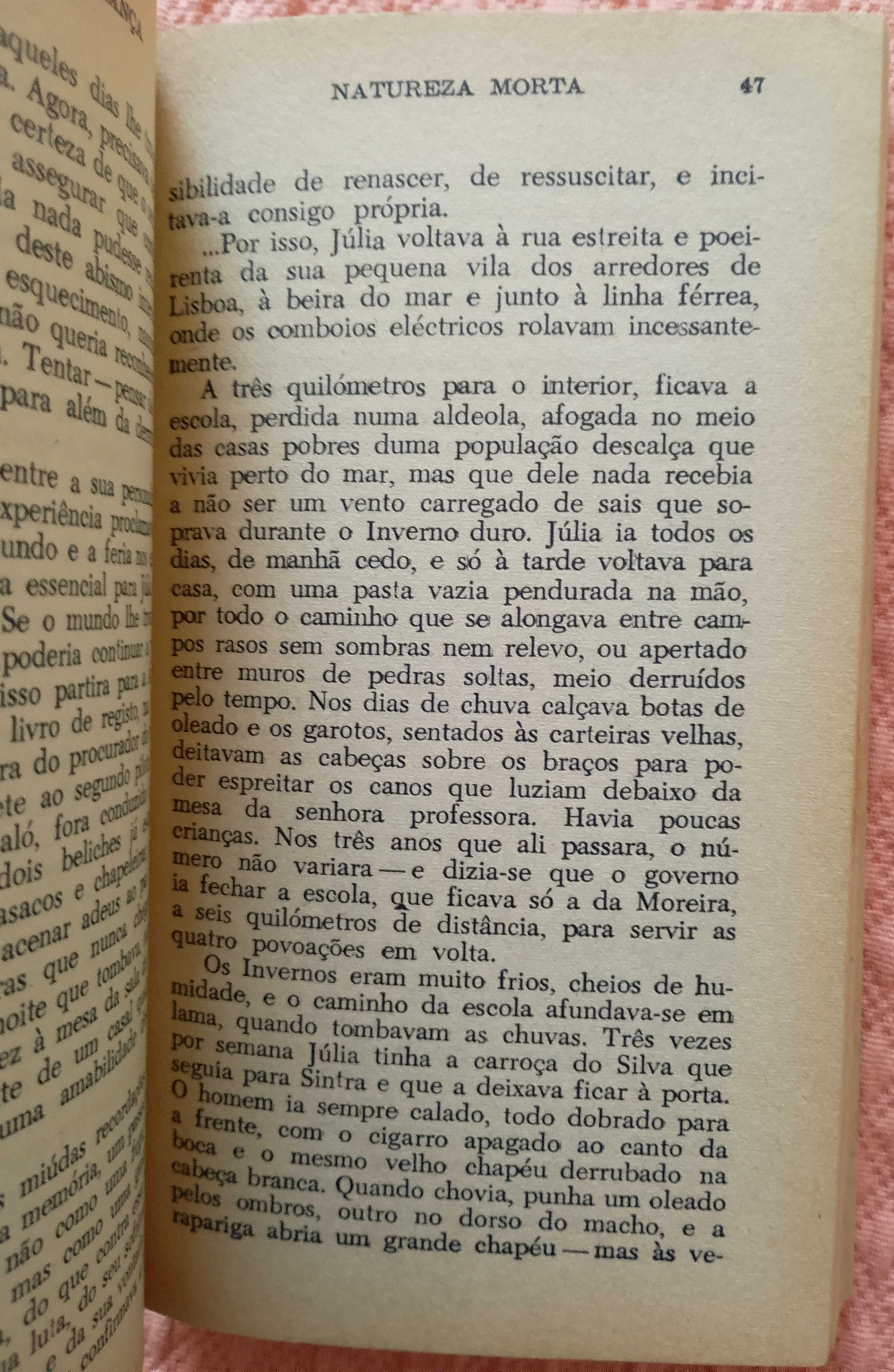 Natureza-morta, José Augusto-França
