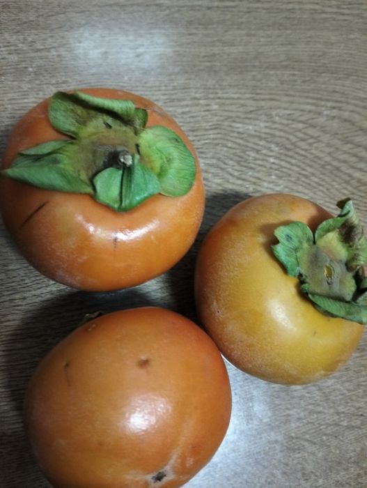 Dióspiros de comer rijos