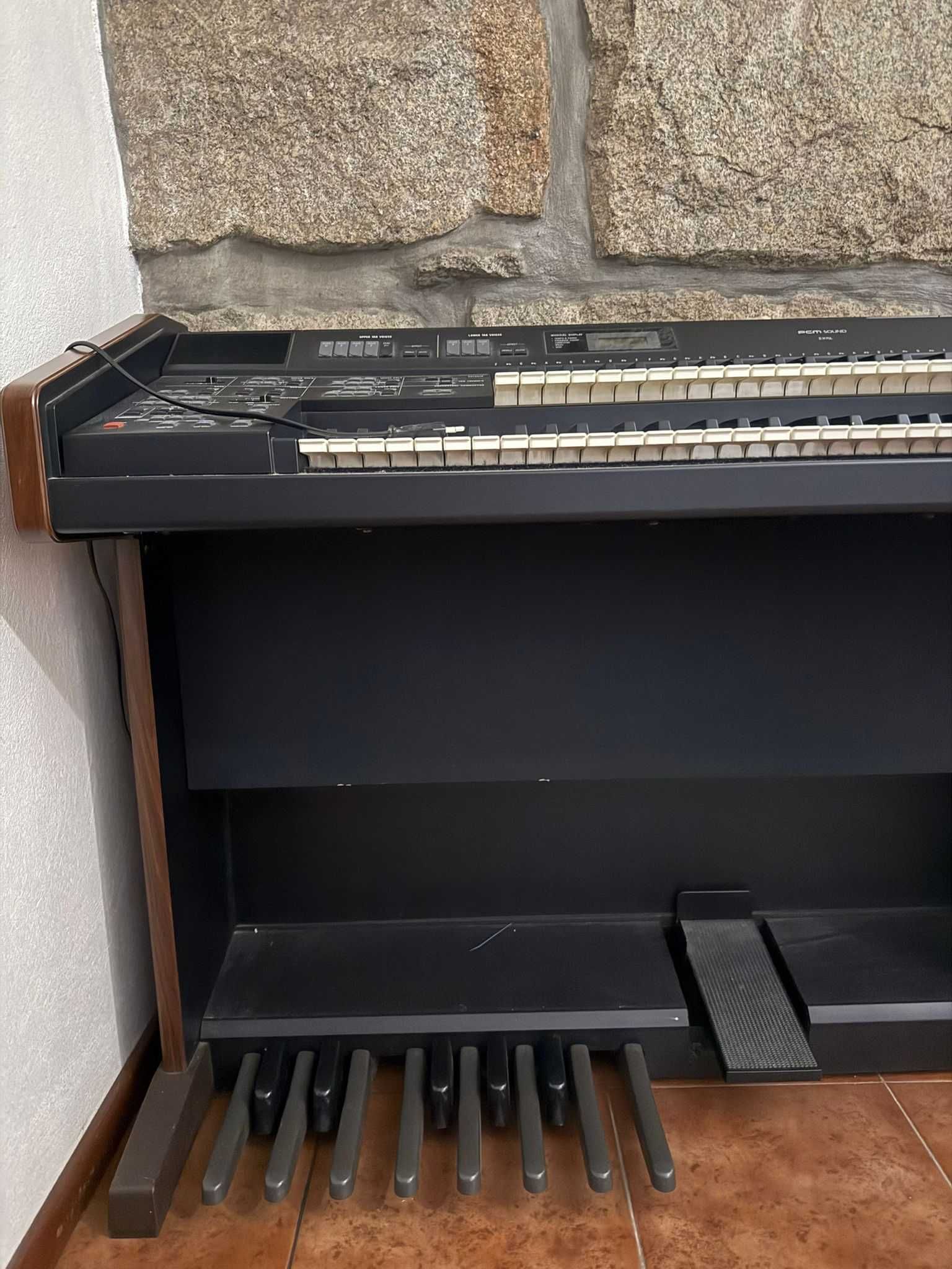 Orgão TECHNICS modelo EX15L PCM Sound