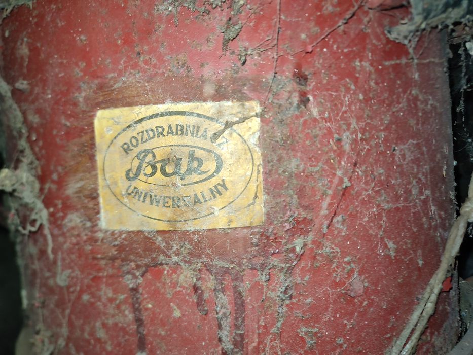 Śrutownik bąk      .