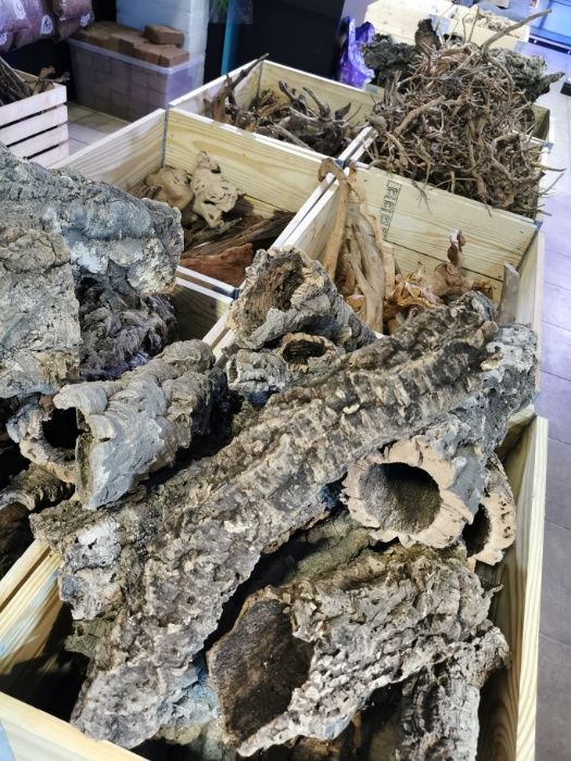 Akwarium 60x30x35 cm NOWE Sklep Akwarystyczny Turkusowe Zoo