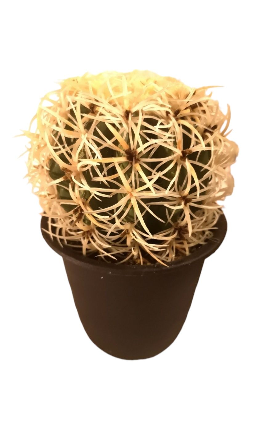Kaktus w doniczce Sztuczne kwiaty Prezent