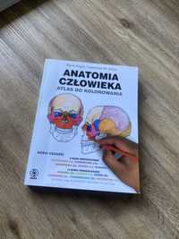 Atlas do kolorowania anatomia czlowieka