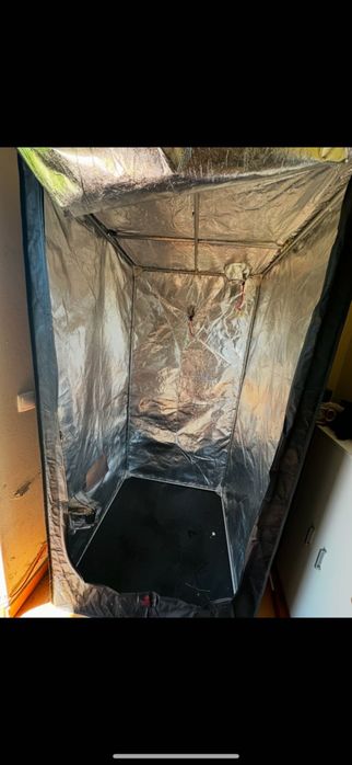 tenda cultivo indoor