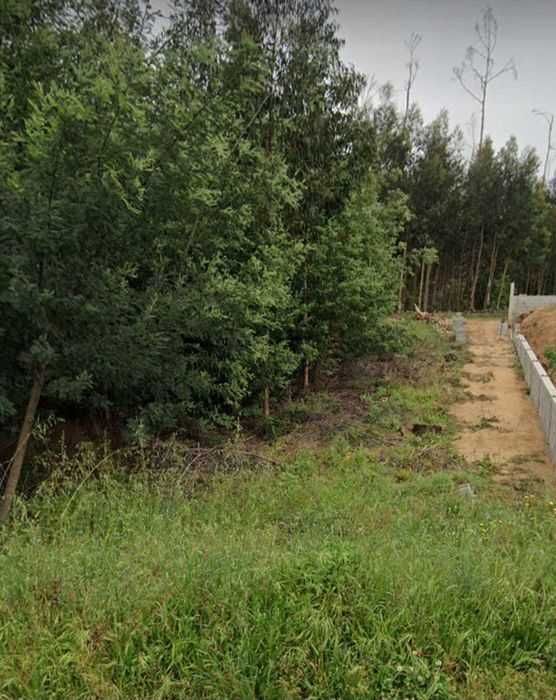 Terreno para construção Santa Comba Dão, junto à estrada Nacional.