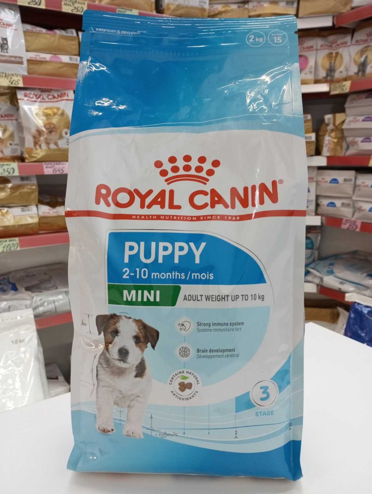 Royal Canin mini puppy