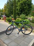 Rower miejski ELOPS single speed 28 CALI siwy
