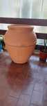 Vaso de planta, flor