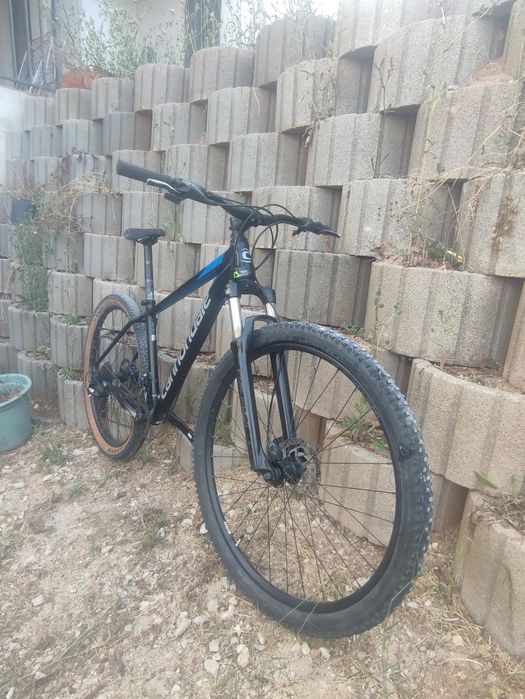 Cannondale Trail 7