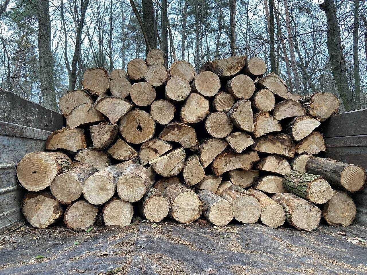 Дубовые дрова| от 3 кубов| Купить дубовые дрова