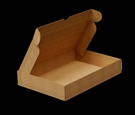 karton fasonowy Pudło Paczkomat A A4 310x220x55 31cmx22cmx5,5cm 50szt.