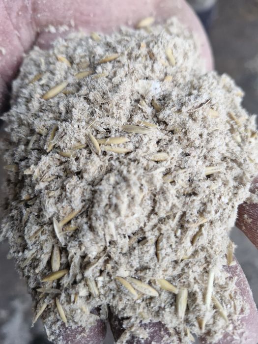 Otręby owsiane pszenne, jęczmienne, łuska, owies jęczmień