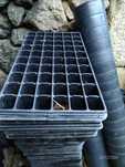 Covetes para cementeira de plantas