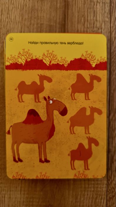 Мои первые развивающие карточки. Изд Робинс