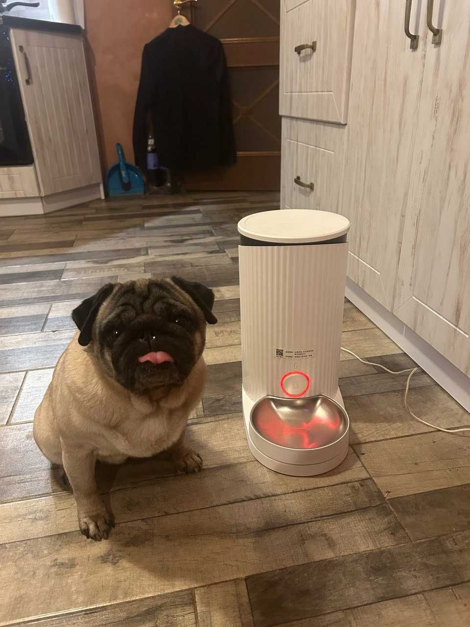Смарт годівниця Xiaomi Furrytail Smart Pet Feeder FT-P-WSQ-0101 White