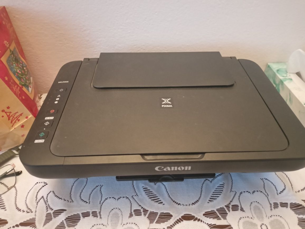 Canon PIXMA  mg 2550s uszkodzona