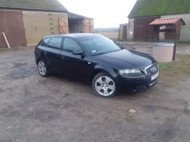 Audi a3 8p 1.9 tdi