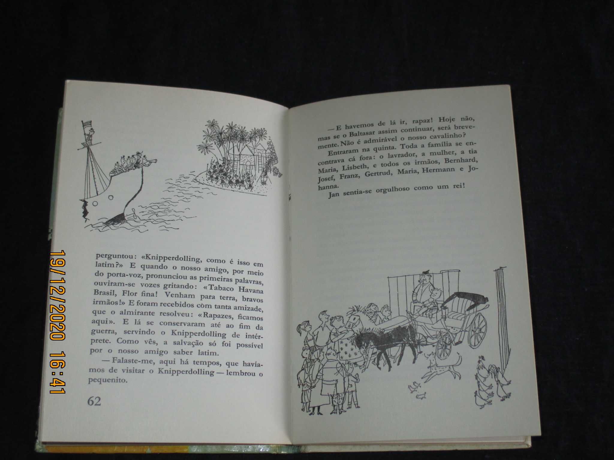 Livro Baltasar O Cavalo Selvagem Denneborg