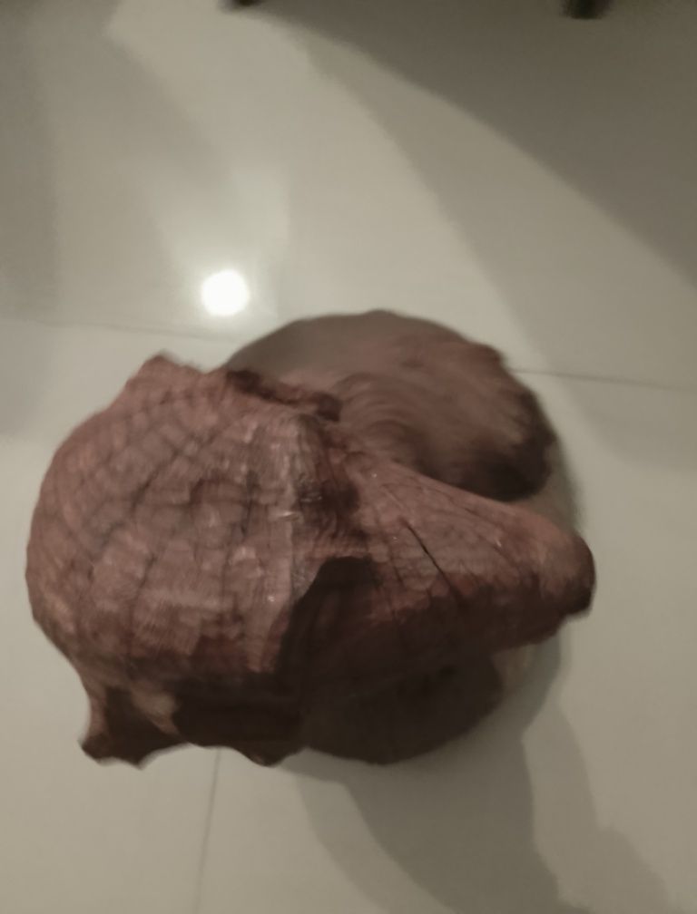 Pies- rzeźba(rękodzieło) z drewna.