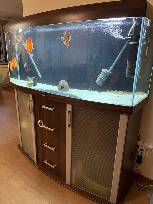 Akwarium 450l z szafką
