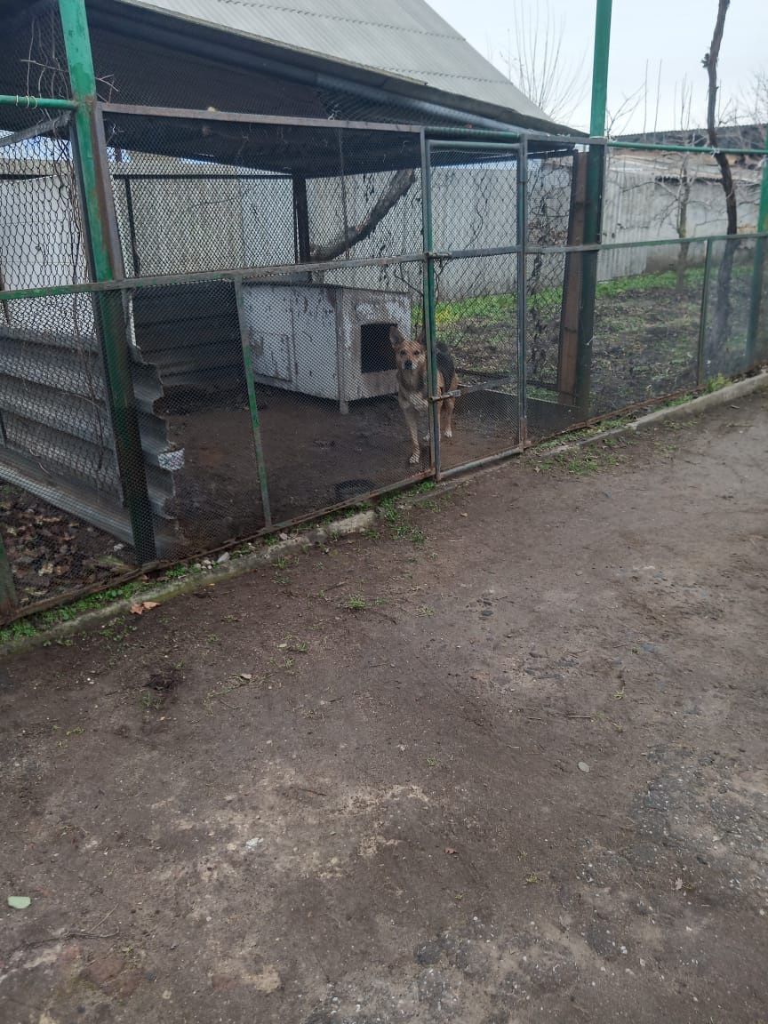 Продажа будинку (Миколаївська обл))