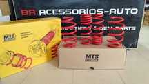 Molas MTS TECHNIK 30mm Seat Leon 1P