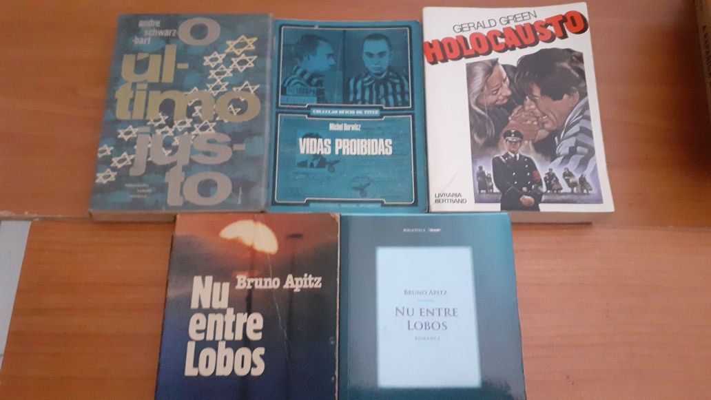 Literatura sobre o Holocausto