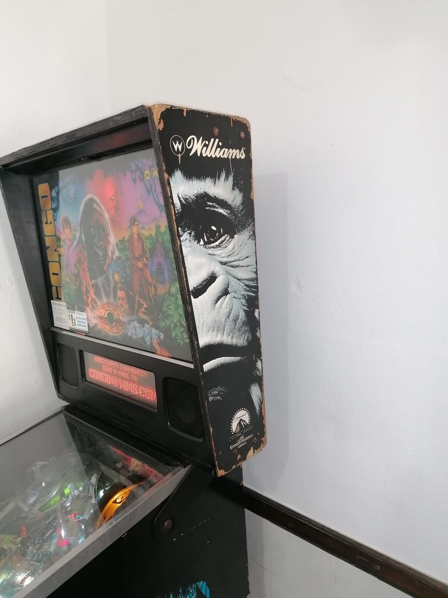 Flipper Williams Congo