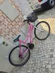 Vendo bicicleta JL Wenti