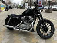 Harley davidson Sportster 883 XL