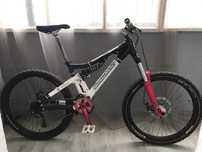 двухподвес, DH, Freeride, Bergamont