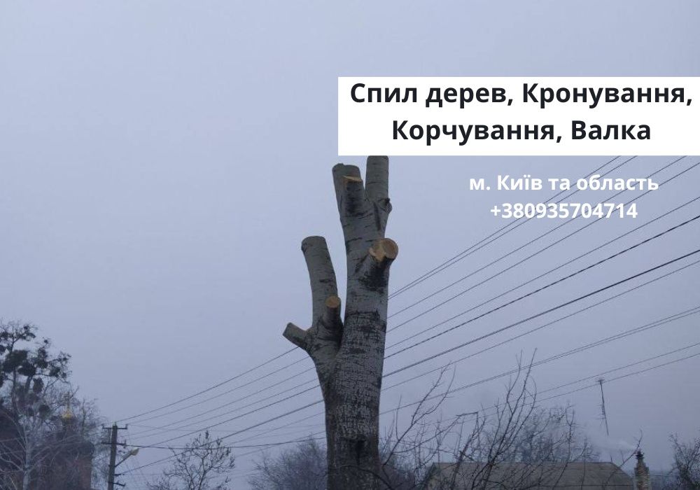 Зрізання дерев, Спил, Кронування, Корчування!