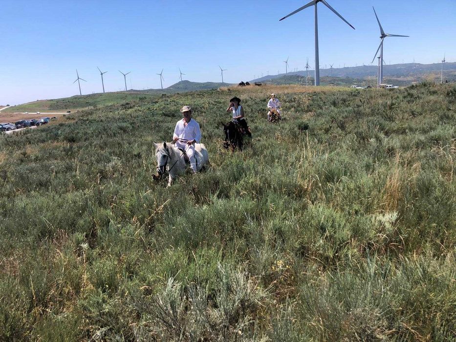 Passeio a cavalo com degustação de vinho