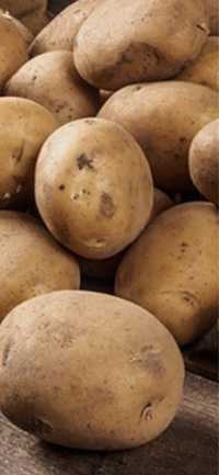 Продам картоплю велику та насінневу
