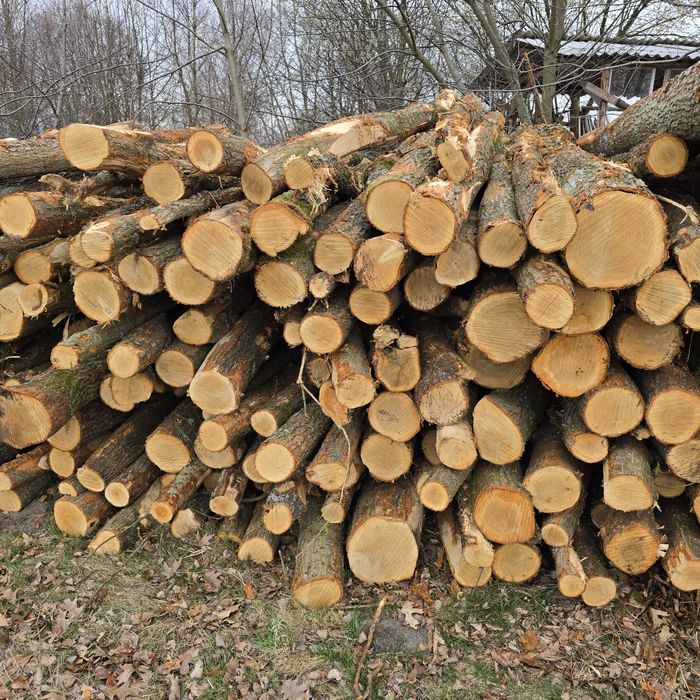 Drewno opałowe dąb