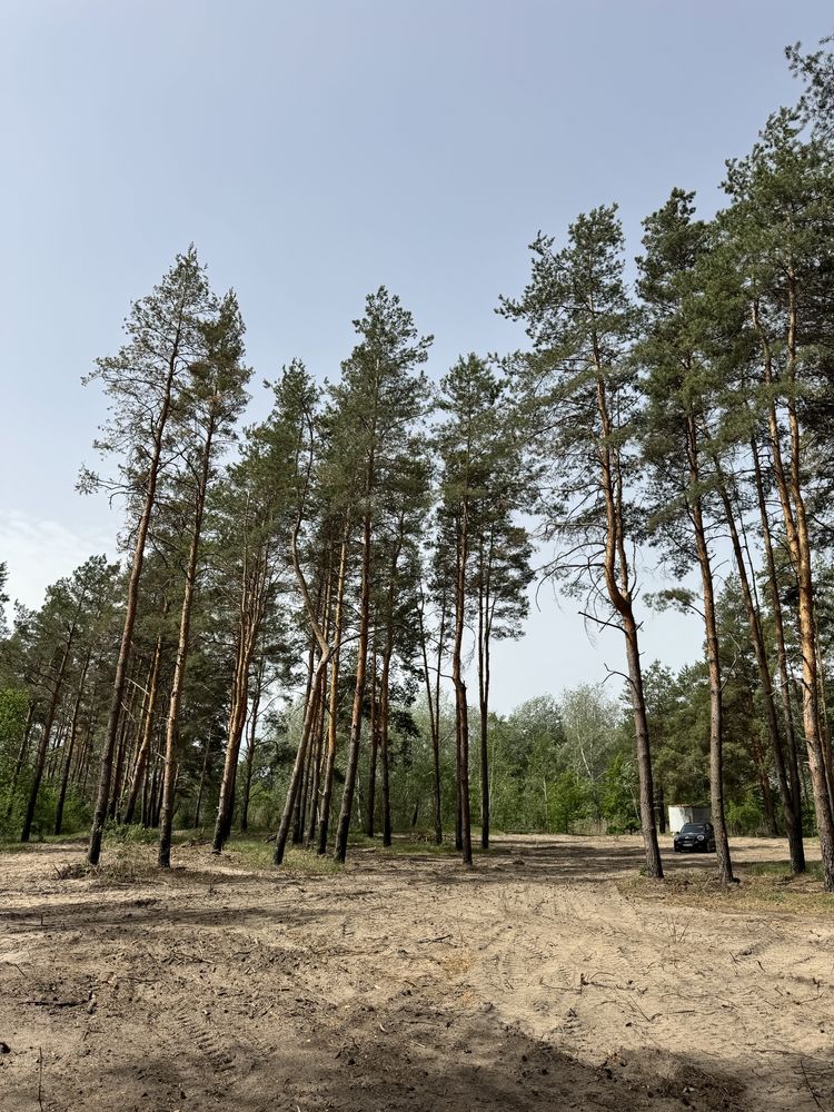 Дом 105 м2 Песчанка. Новая улица, сосны на участке.
