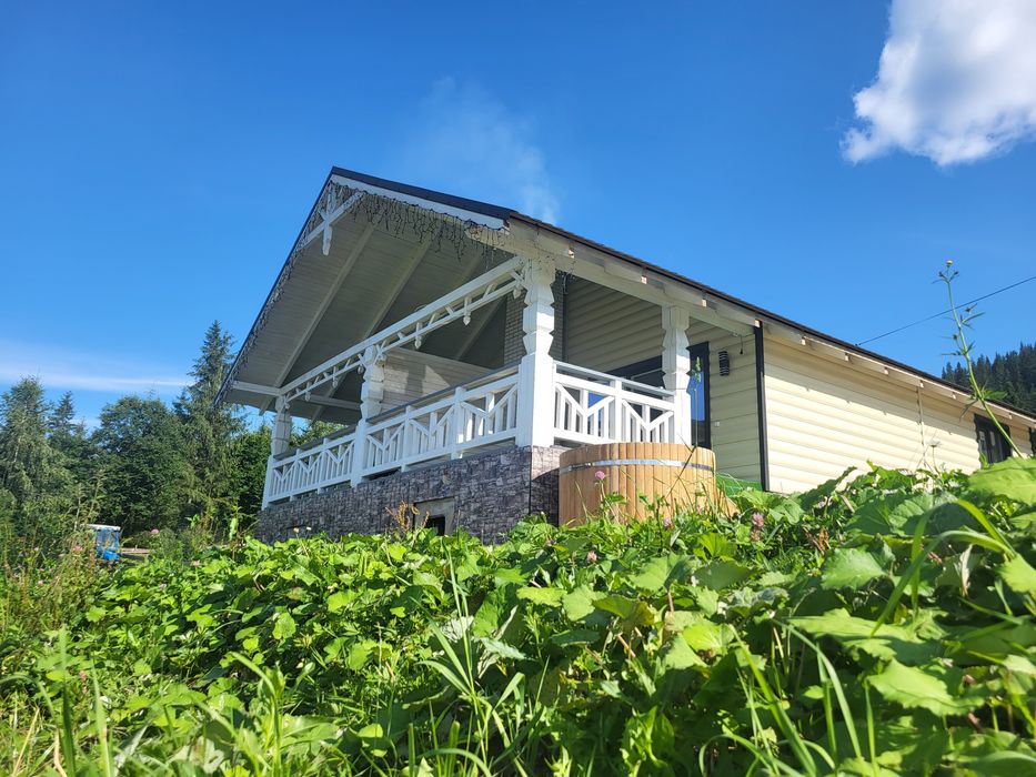 Чан Карпатський краєвид в Поляниці Чан в Буковелі