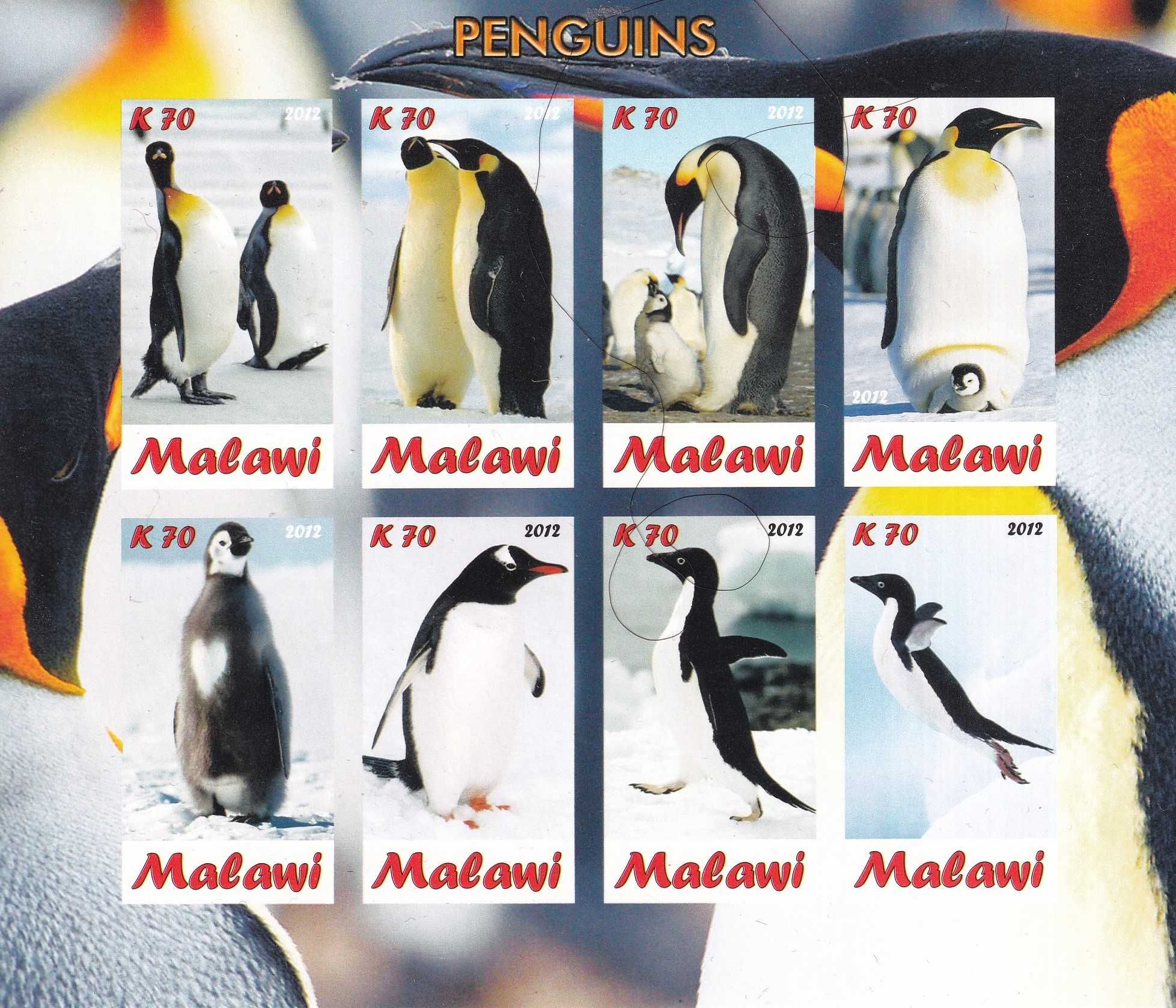 Malawi 2012 cena 2,90 zł - pingwiny