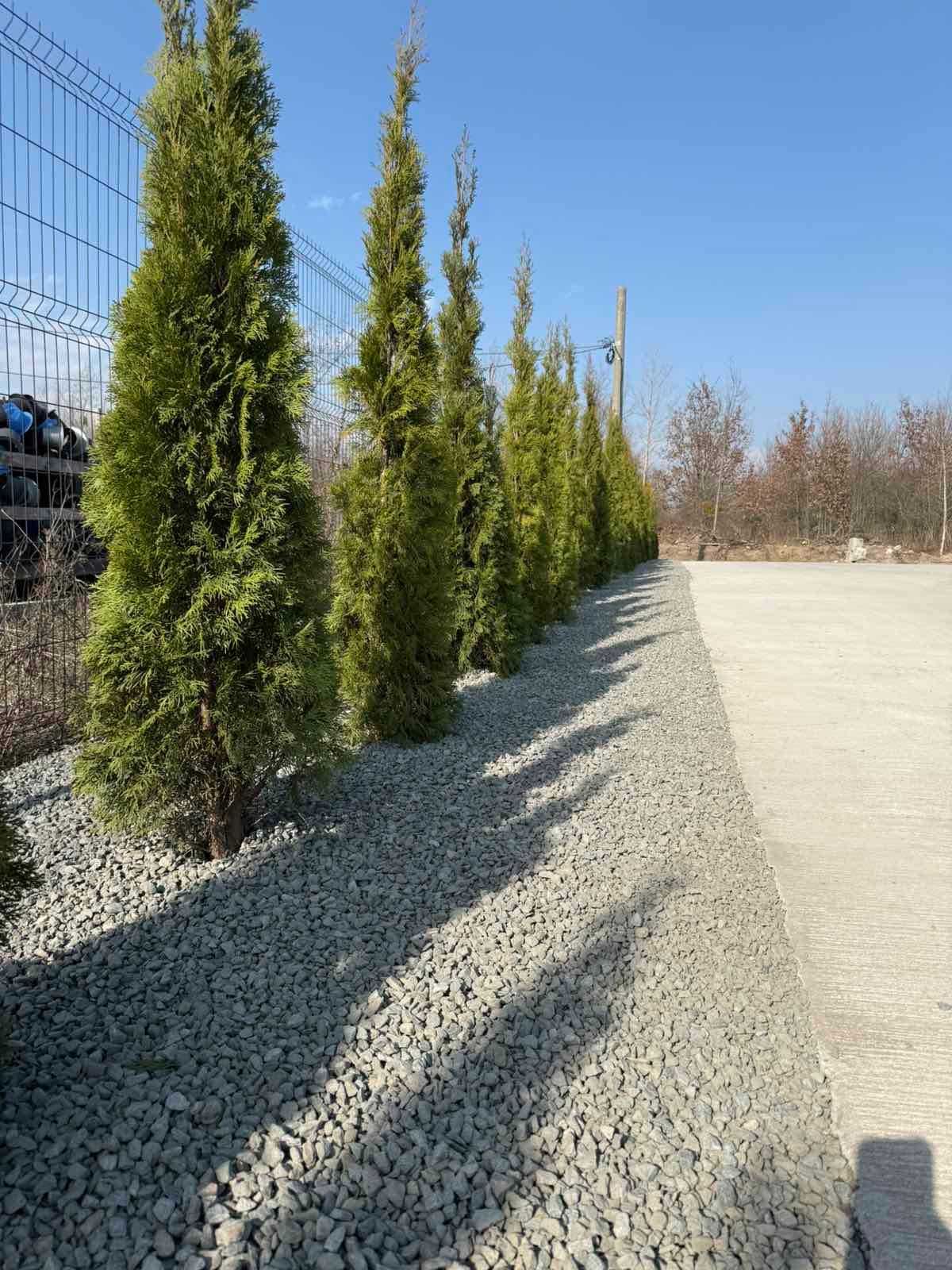 Продажа нового производственно-складского помещения 675 кв.м.