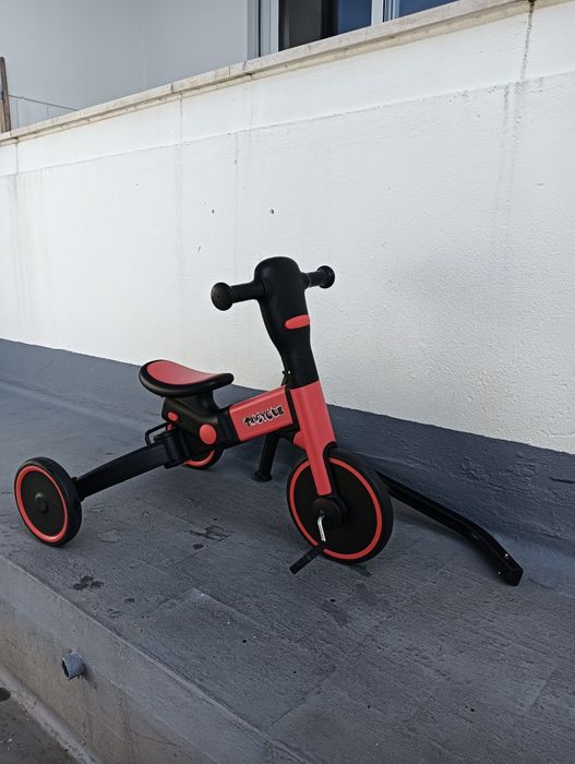 Triciclo evolutivo