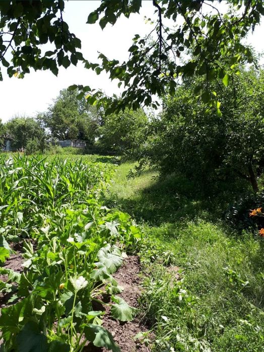 Продам будинок в с.Петрівці Миргородського району