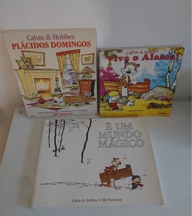 Conjunto Banda Desenhada Calvin and Hobbes (edição antiga dos anos 90)