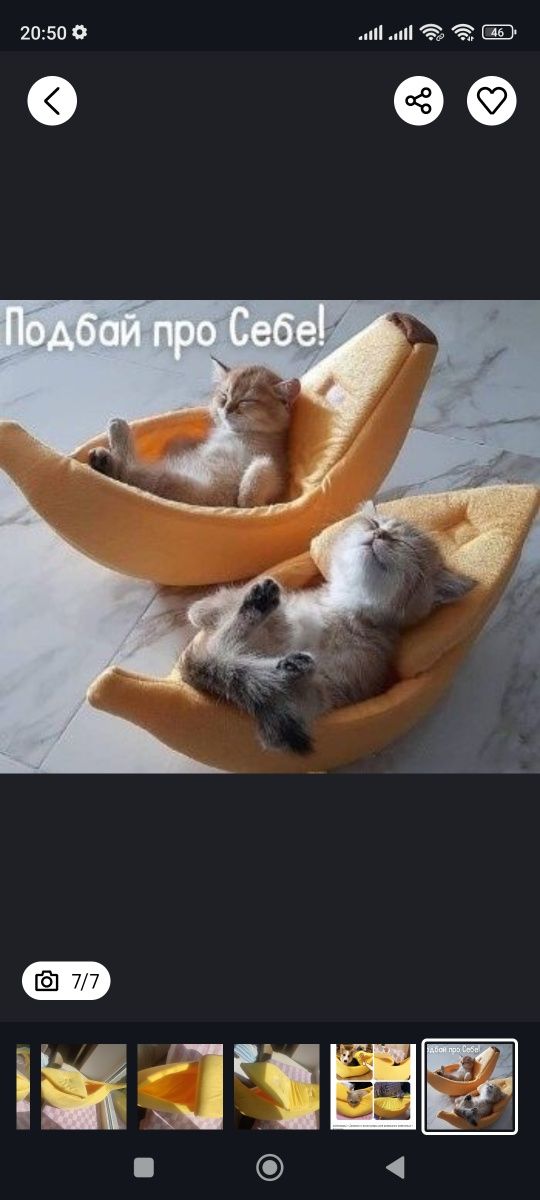 Розпродаж! Лежанка для кота, декор для інтер'єру